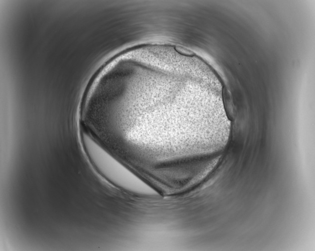 X0000088731343200706212032