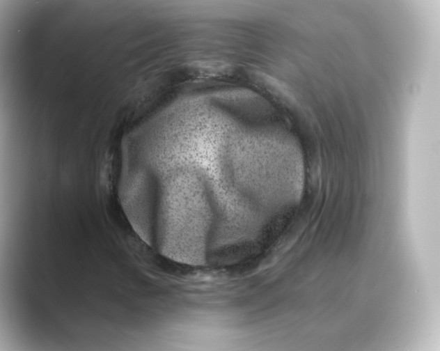 X0000088731346200706212031