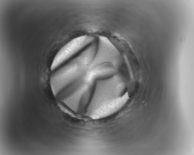X0000088731349200706212031
