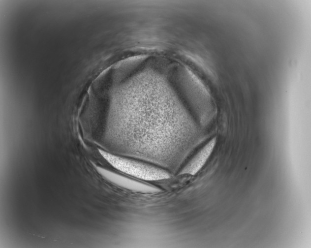 X0000088731350200706212031