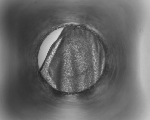 X0000088731351200706212031