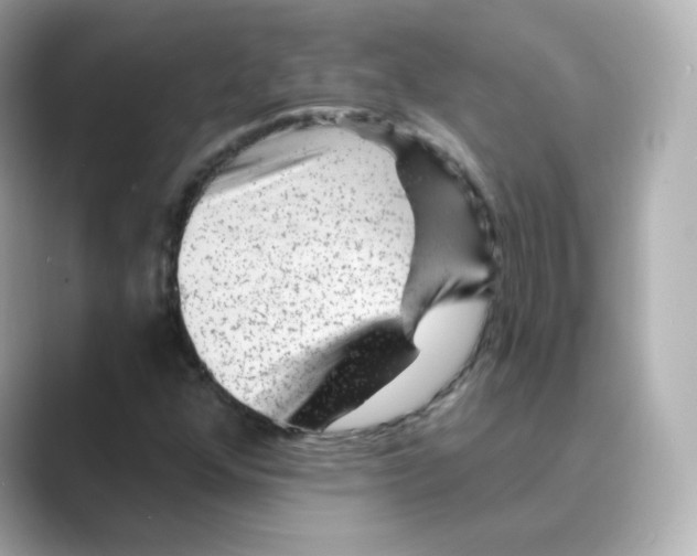 X0000088731352200706212031