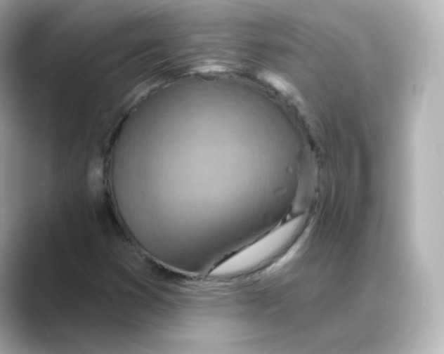 X0000088731353200706212031
