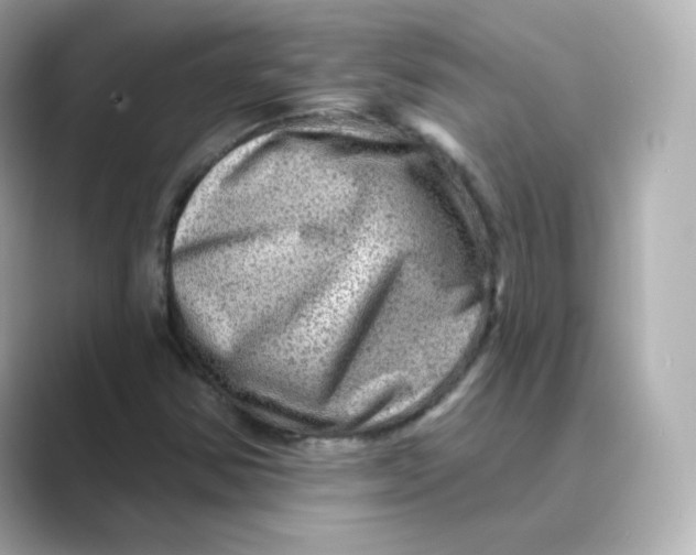 X0000088731354200706212031
