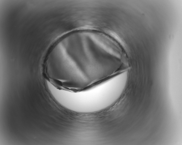 X0000088731356200706212031