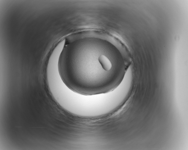 X0000088731357200706212031