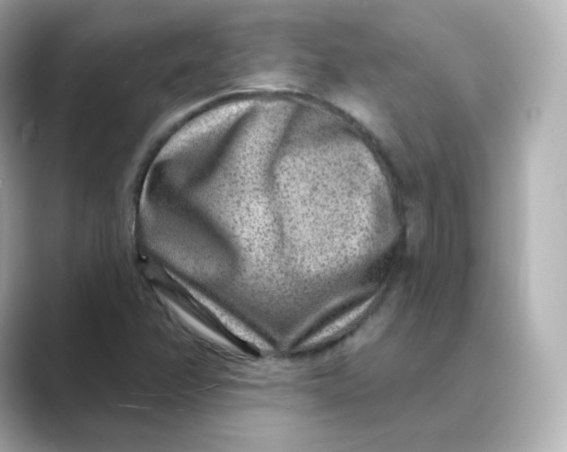 X0000088731358200706212031