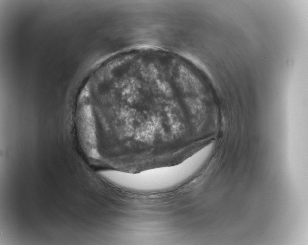 X0000088731359200706212031