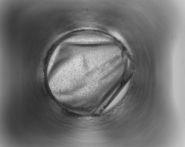 X0000088731360200706212031