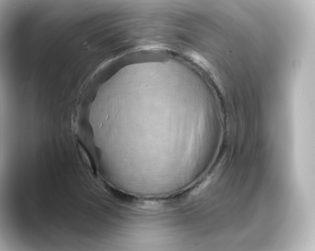 X0000088731361200706212031