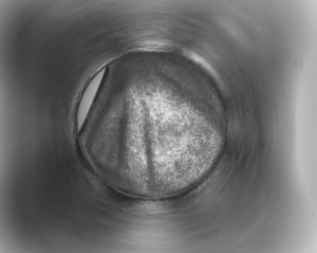 X0000088731362200706212031
