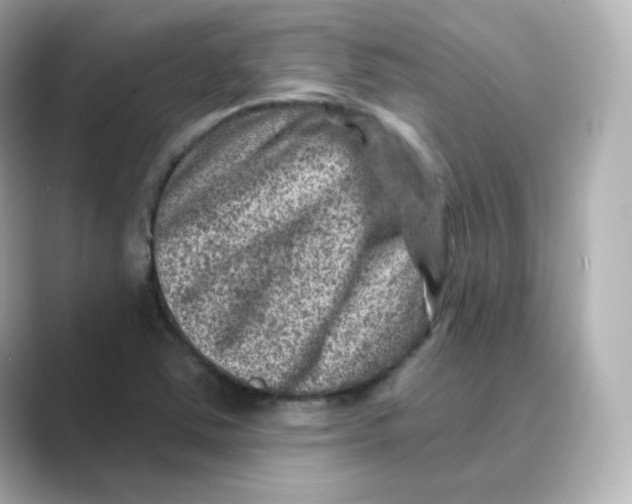 X0000088731363200706212031