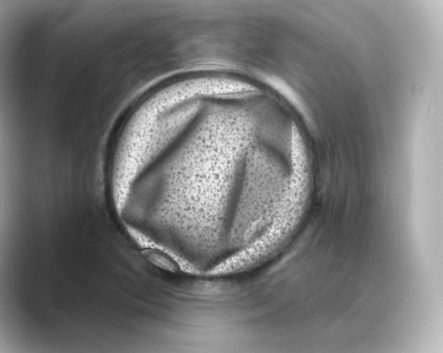 X0000088731364200706212031