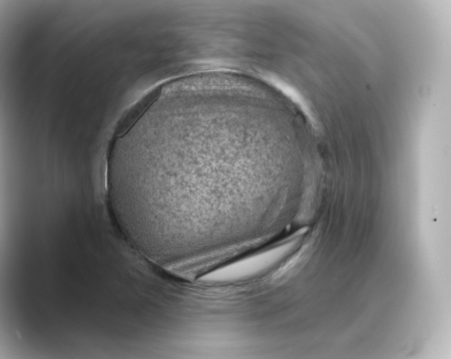X0000088731365200706212031