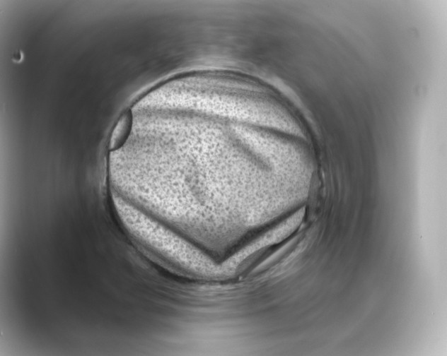 X0000088731366200706212031