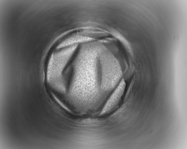 X0000088731368200706212031