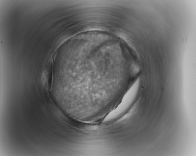 X0000088731369200706212031