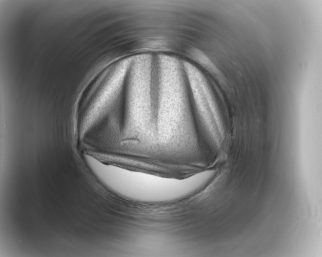X0000088731370200706212031