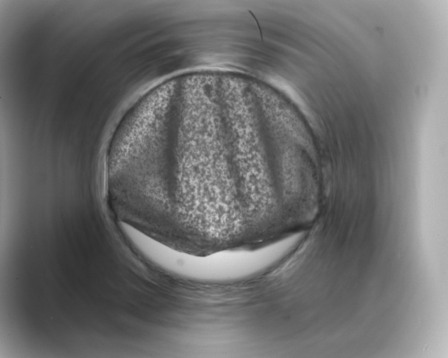 X0000088731371200706212031