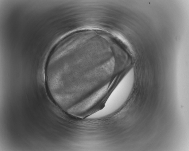 X0000088731372200706212031