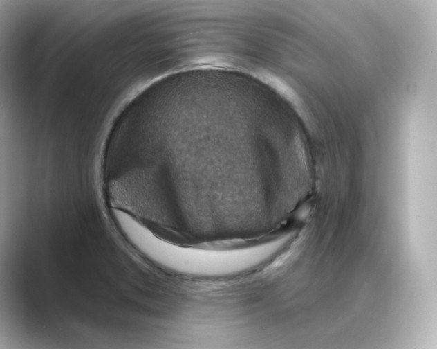 X0000088731373200706212031