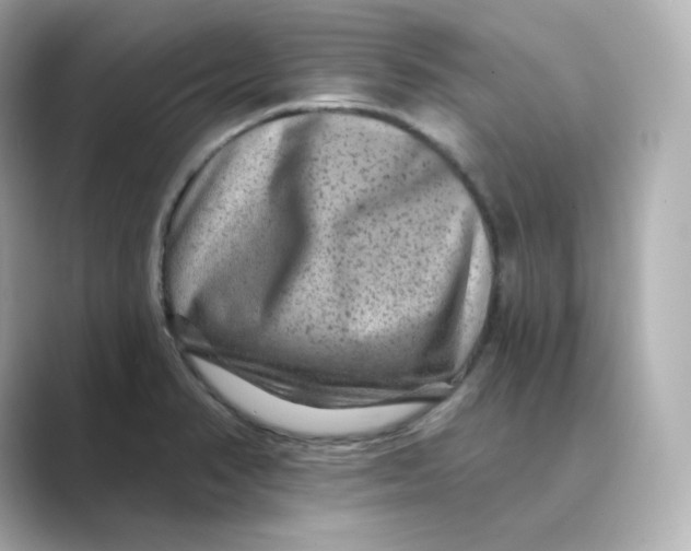 X0000088731374200706212031