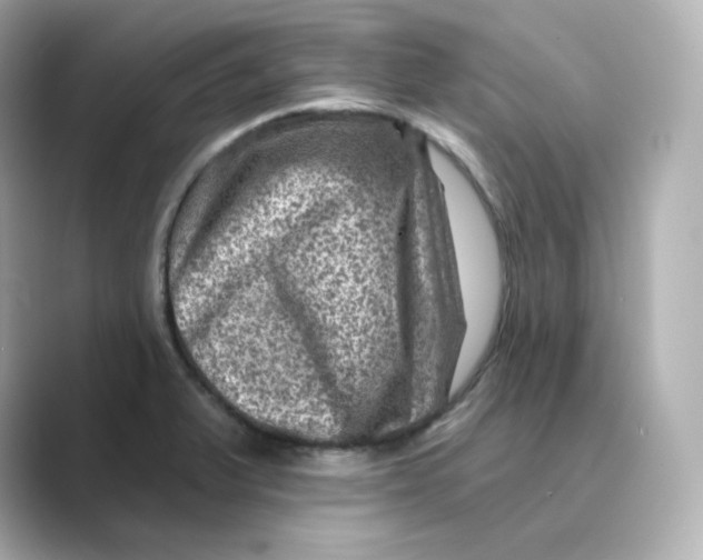 X0000088731375200706212031