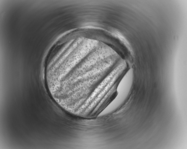 X0000088731376200706212031