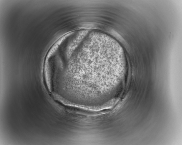 X0000088731378200706212031