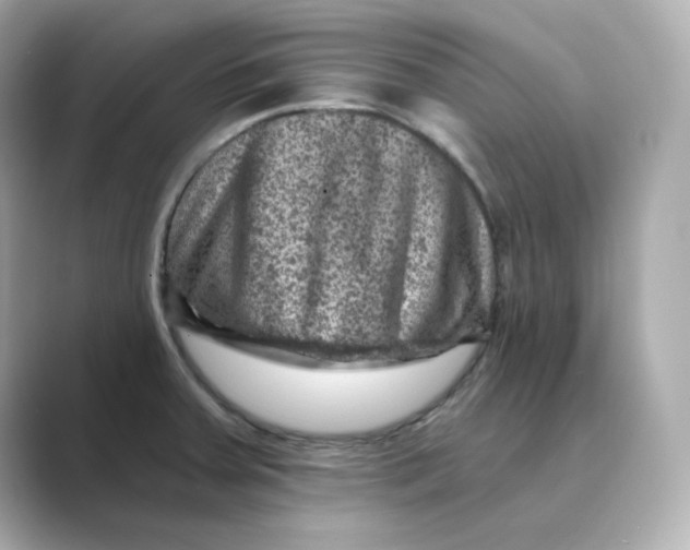 X0000088731379200706212031