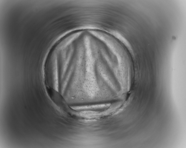 X0000088731380200706212031
