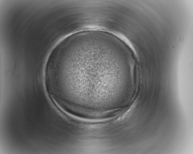 X0000088731381200706212031