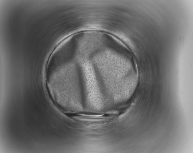 X0000088731382200706212031