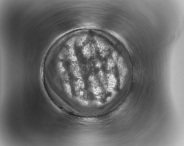 X0000088731383200706212031