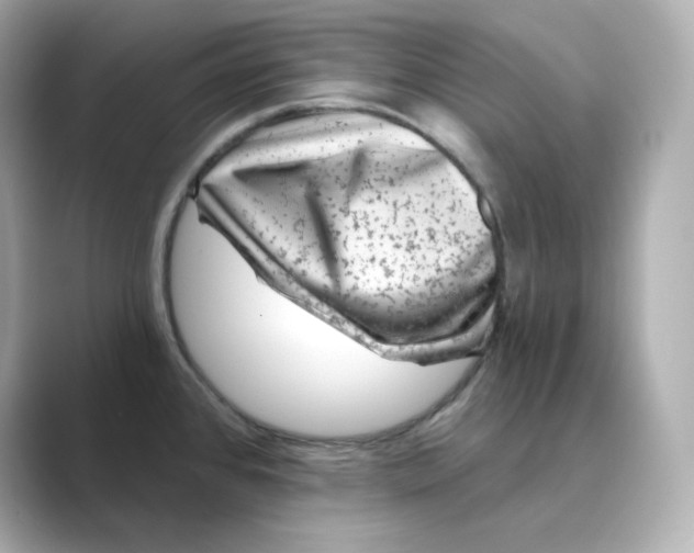 X0000088731384200706212031