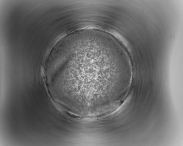 X0000088731385200706212031