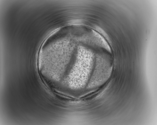 X0000088731386200706212031