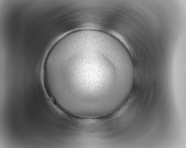 X0000088731387200706212031