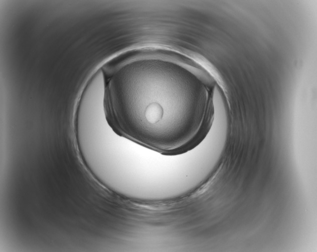 X0000088731388200706212031
