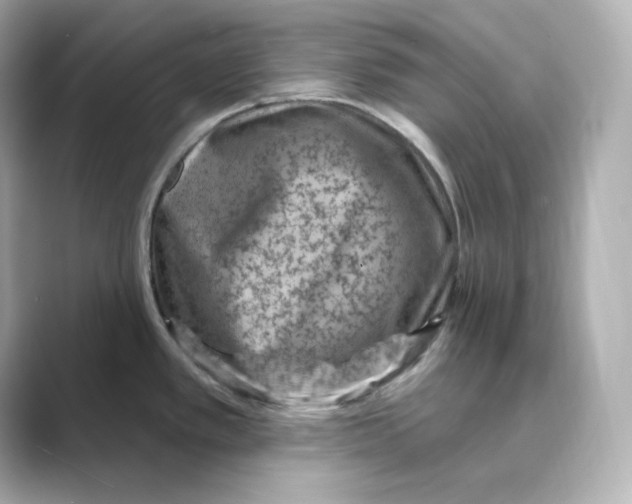 X0000088731389200706212031