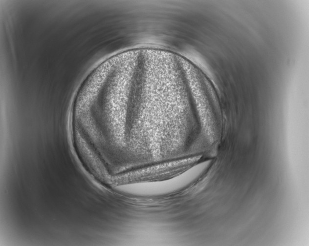 X0000088731391200706212031