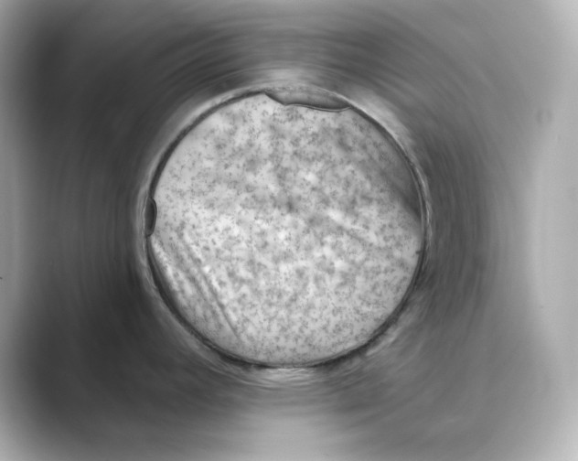 X0000088731392200706212031