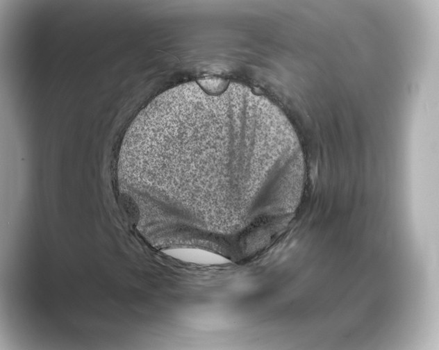 X0000088731393200706212030