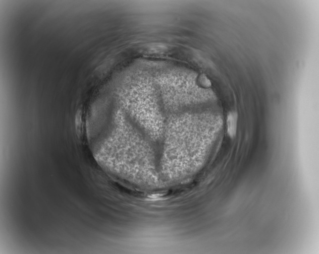 X0000088731395200706212030