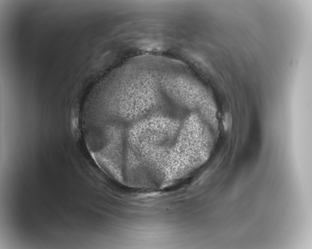 X0000088731396200706212030
