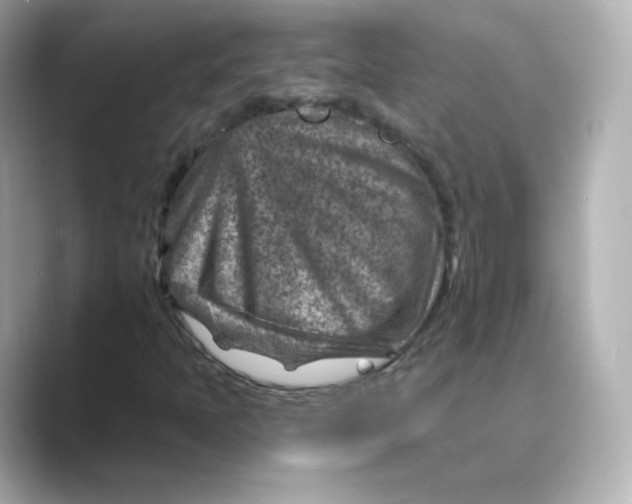 X0000088731397200706212030