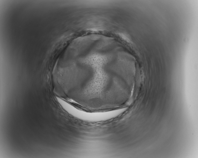 X0000088731398200706212030