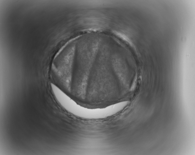 X0000088731399200706212030