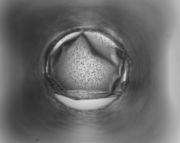 X0000088731400200706212030