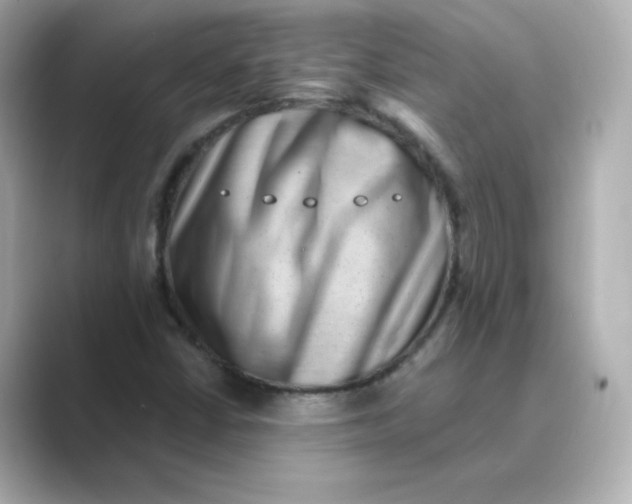 X0000088731402200706212030